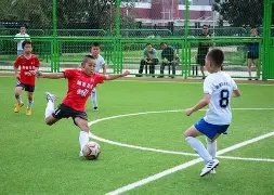北京控股在,常规赛中击,败青岛国信,世界杯下注,2026世界杯投注,足球彩票,投注技巧,赔率分析